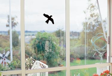 Glasdekorationer Rovfågel