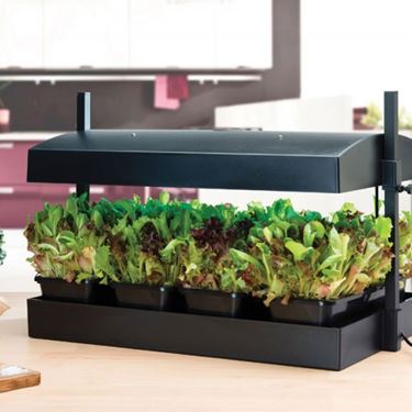 Kasvatusvalaisin Garland Grow Light Garden - Kasvivalaistus