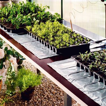 Lämpömatto Bio Green Sahara kasveille - Esikasvatus