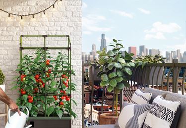 Säleikkö kasvatuslaatikko Cityjungleen - Tukikepit ja sidonta